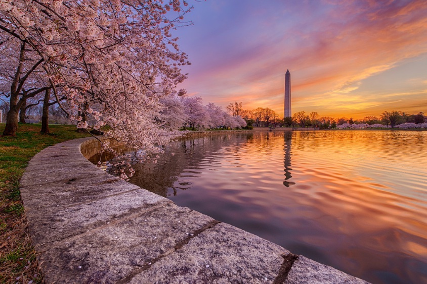 Tidal Basin