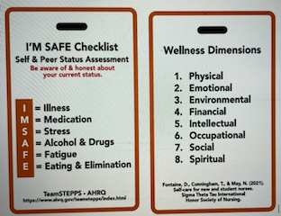 I'm Safe Checklist Self & Peer Status Assessment and Wellness Dimensions Badges